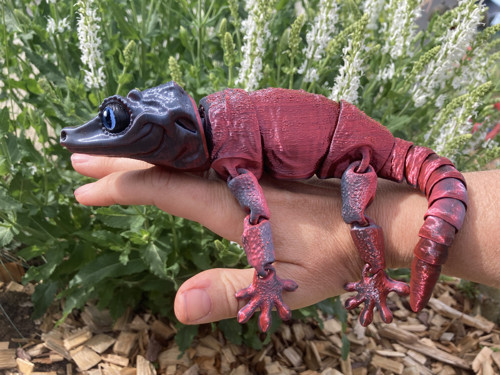 Pagekon hrbolkohlavý - 26 cm, 3D tisk — foto 5
