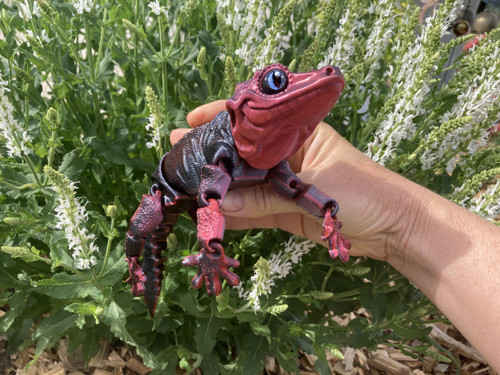 Pagekon hrbolkohlavý - 26 cm, 3D tisk — foto 4