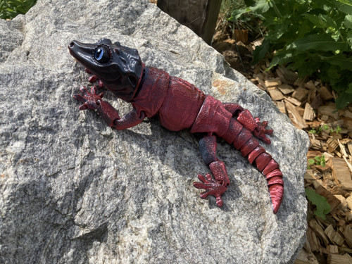 Pagekon hrbolkohlavý - 26 cm, 3D tisk — foto 2