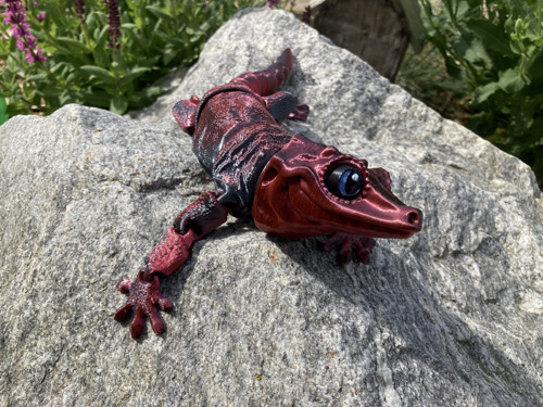 Pagekon hrbolkohlavý - 26 cm, 3D tisk — foto 3