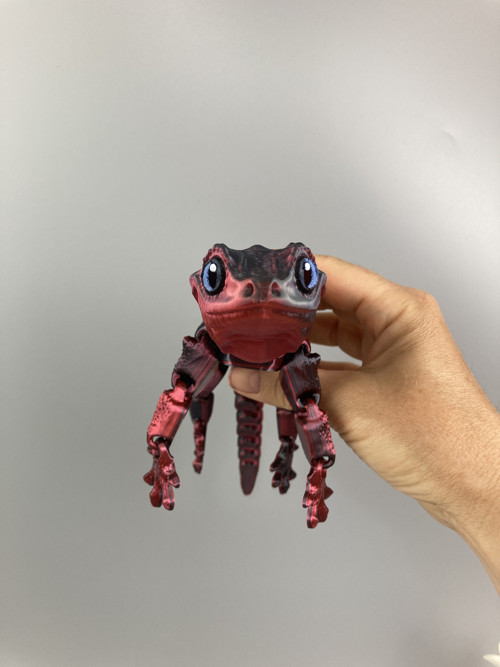 Pagekon hrbolkohlavý - 26 cm, 3D tisk — foto 6