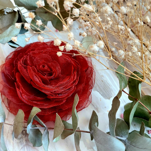 Rouge — foto 4