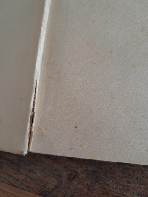 Paní svíčka — foto 3
