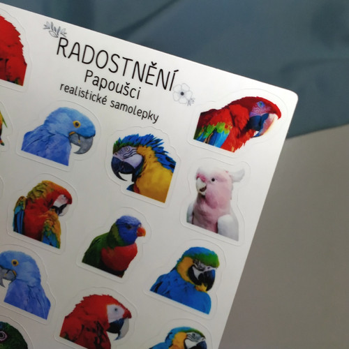 Realistické samolepky - Papoušci — foto 2