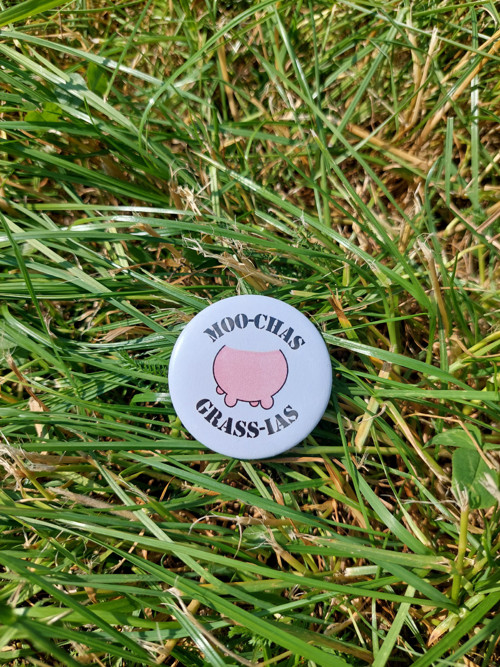 Placka Moo-chas Grass-ias — foto 2