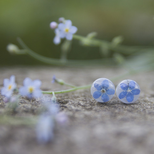 Náušnice pomněnky 8 mm — foto 6