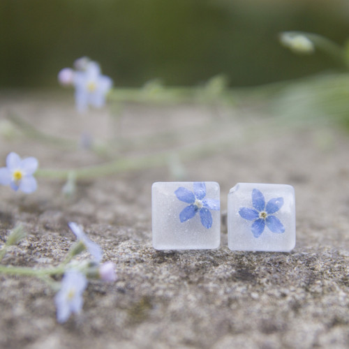 Náušnice pomněnky 10 mm — foto 6