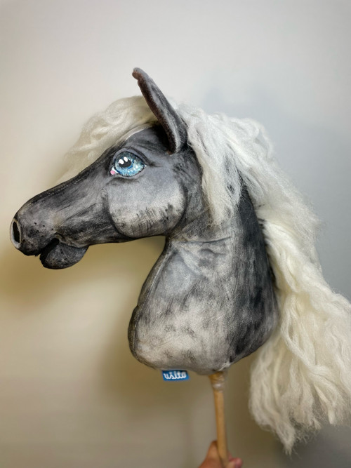 Shetlandský pony - Hobby horse — foto 6