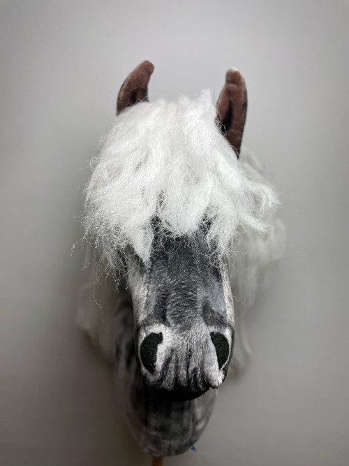 Shetlandský pony - Hobby horse — foto 4
