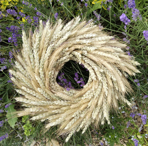 Obilňák — foto 2