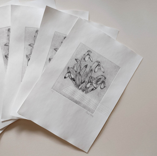 Autorská grafika - sněženky — foto 2