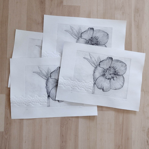 Autorská grafika - čemeřice — foto 2