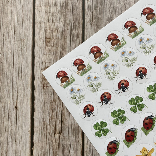Samolepky Berušky — foto 2