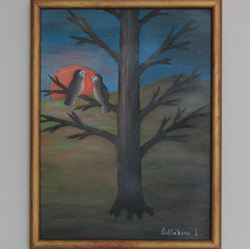 Večerní rozhovor — foto 3