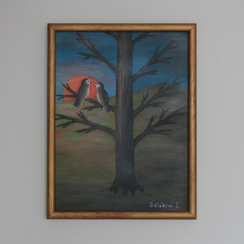 Večerní rozhovor — foto 2