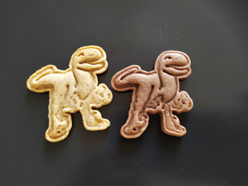 Velociraptor - set — foto 5