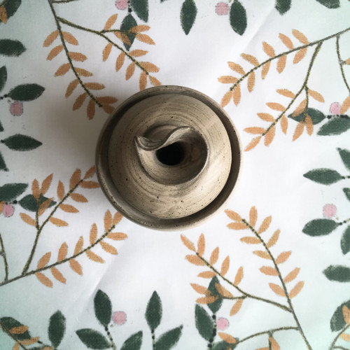Středovka kulatá — foto 6