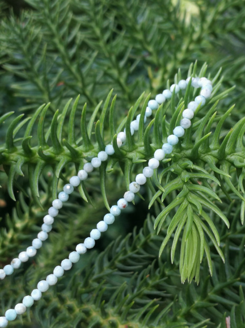 Larimar minimalist — foto 2
