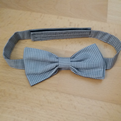 Motýlek kostkovaný — foto 2