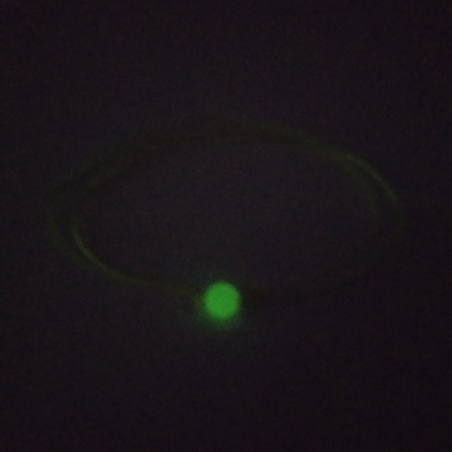Neon -svítící — foto 4