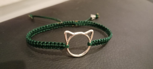 Kočičí Shamballa — foto 2