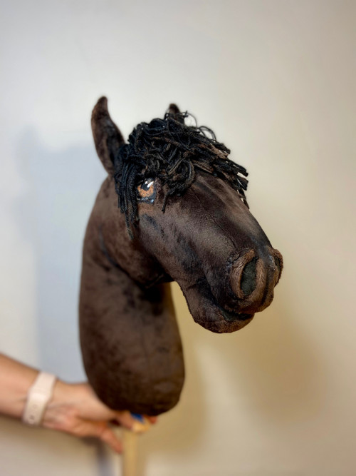 Šimonek na přání- Hobby horse — foto 4