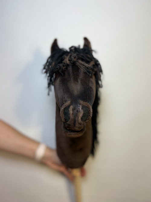 Šimonek na přání- Hobby horse — foto 3