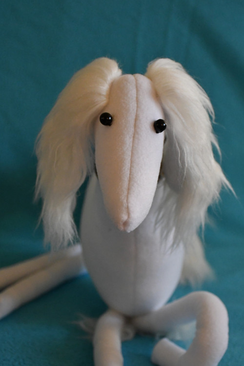 Saluki bílá na přání — foto 3