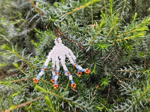 Bílooranžové indianky — foto 4