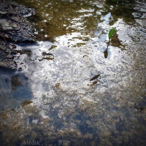 Knot... — foto 4