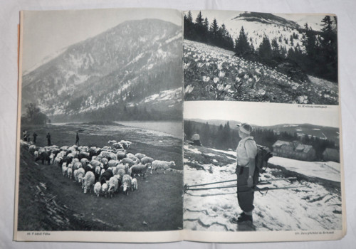 Luis Trenker: HORY A SNÍH, 1942 — foto 4