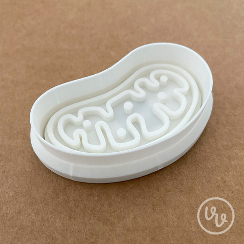 Vykrajovátko - Mitochondrie — foto 3