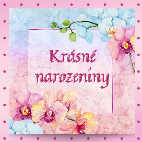 Něžná krása orchidejí — foto 2
