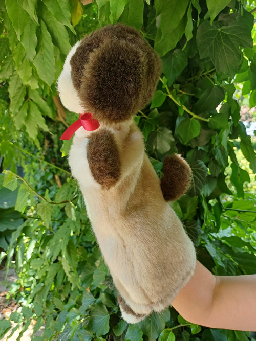 Pejsek Alík — foto 2