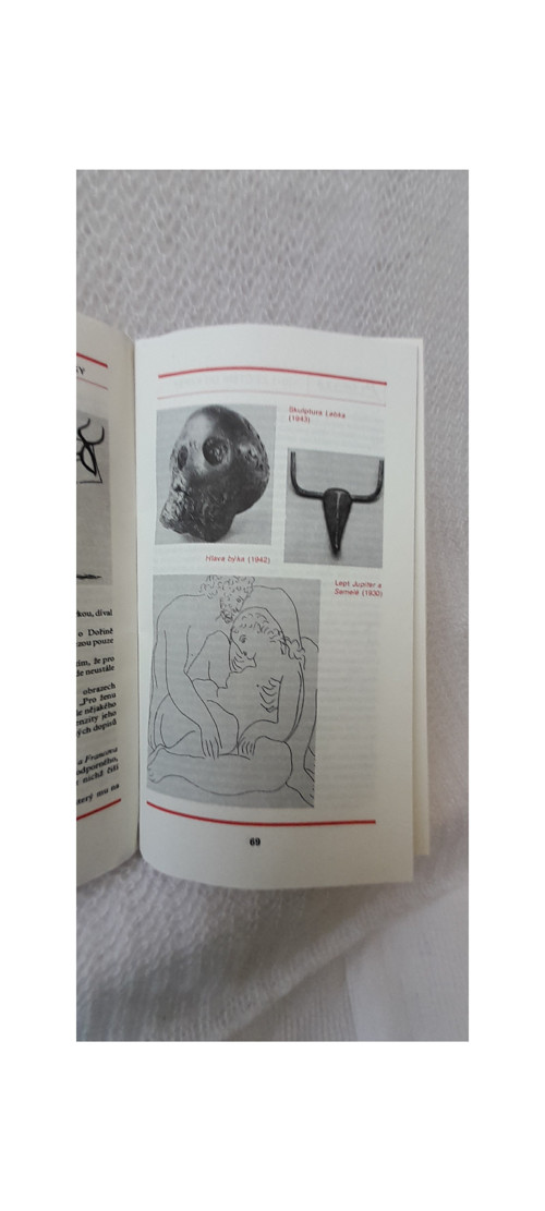 Maloval krví jiných - Picasso — foto 4