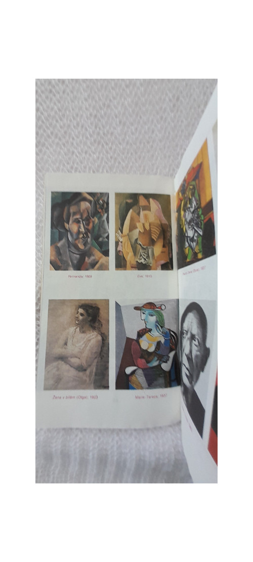 Maloval krví jiných - Picasso — foto 5