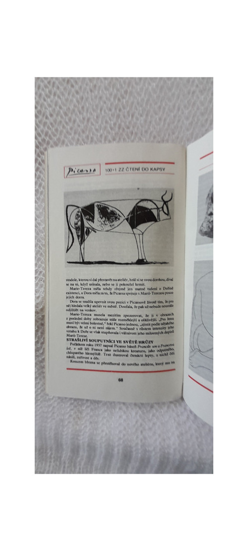 Maloval krví jiných - Picasso — foto 3