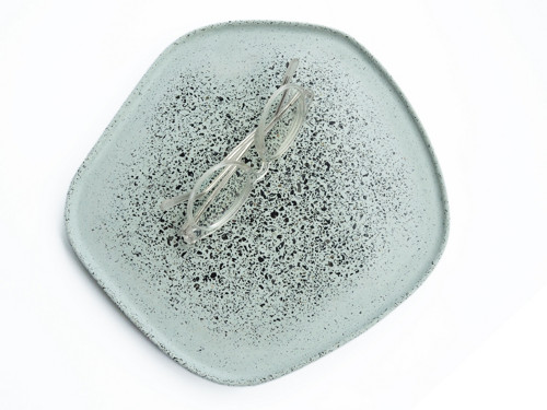 'Placakus maximus var.Green' — foto 2