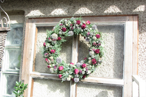 Roses — foto 6