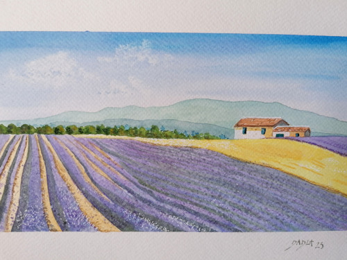 Levandulová louka — foto 2