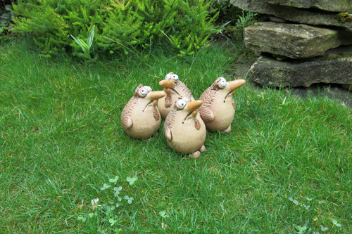 PTÁK- menší — foto 4