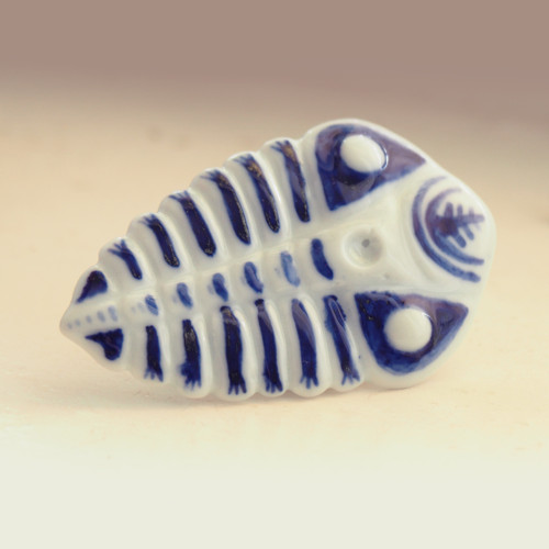 Trilobit modrobílý — foto 3