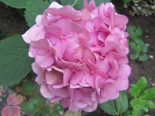 Látkový pytlík — foto 6