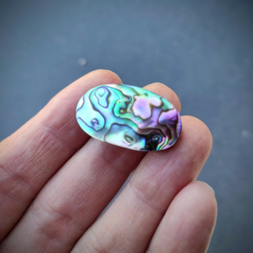 Abalone/Abalon, ID 3059, 27x14 mm — foto 3