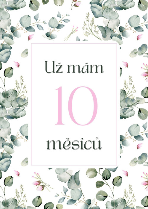 Milníkové kartičky - Eucalyptus + rose — foto 6