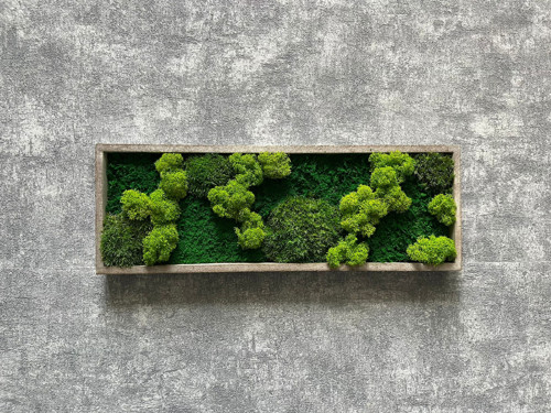 Mechový obraz 40x14cm — foto 2