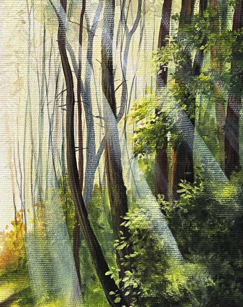 Prosluněným lesem - 30x30cm — foto 4
