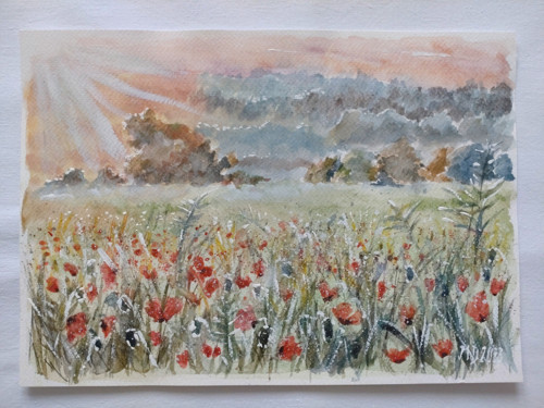 Ranní louka — foto 2
