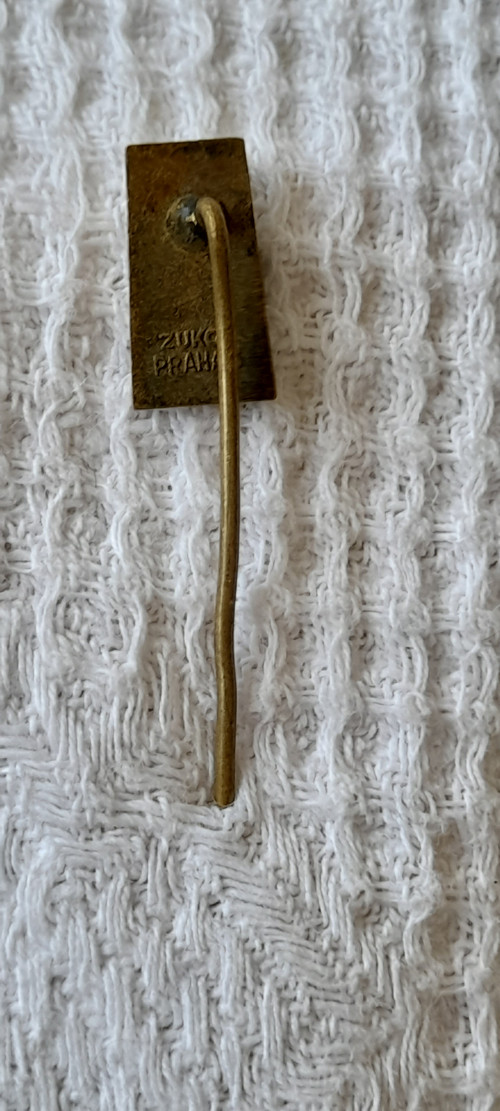 Odznak Sokolov — foto 2