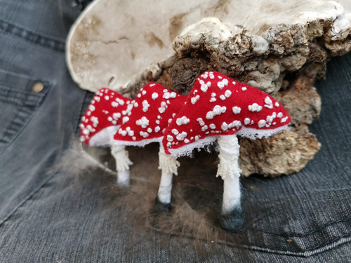 Muchomůrka červená_2 — foto 4